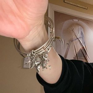 Alex & Ani bundle deal bracelets